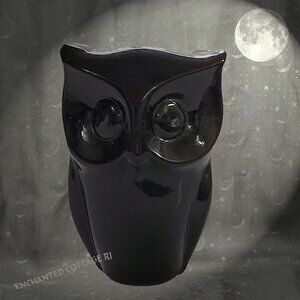 🦉Black Onyx 𝐎𝐖𝐋 Wisdom Knowledge Spirit Animal Totem Crystal - 3" Tall